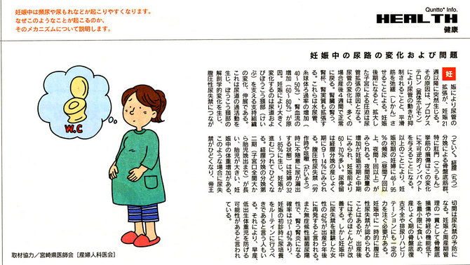 妊娠中の尿路の変化および問題
